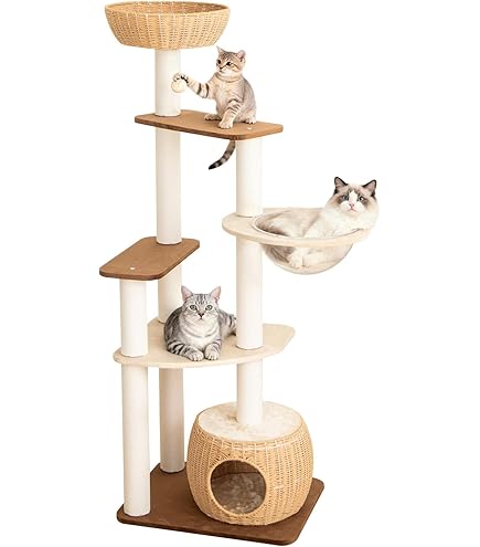 Amazon | Mauタワー シャルマン | Mau | キャットタワー 通販